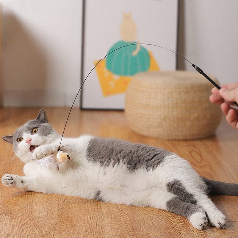 The 5 Best Interactive Cat Toys for Bored Cats In 2024 