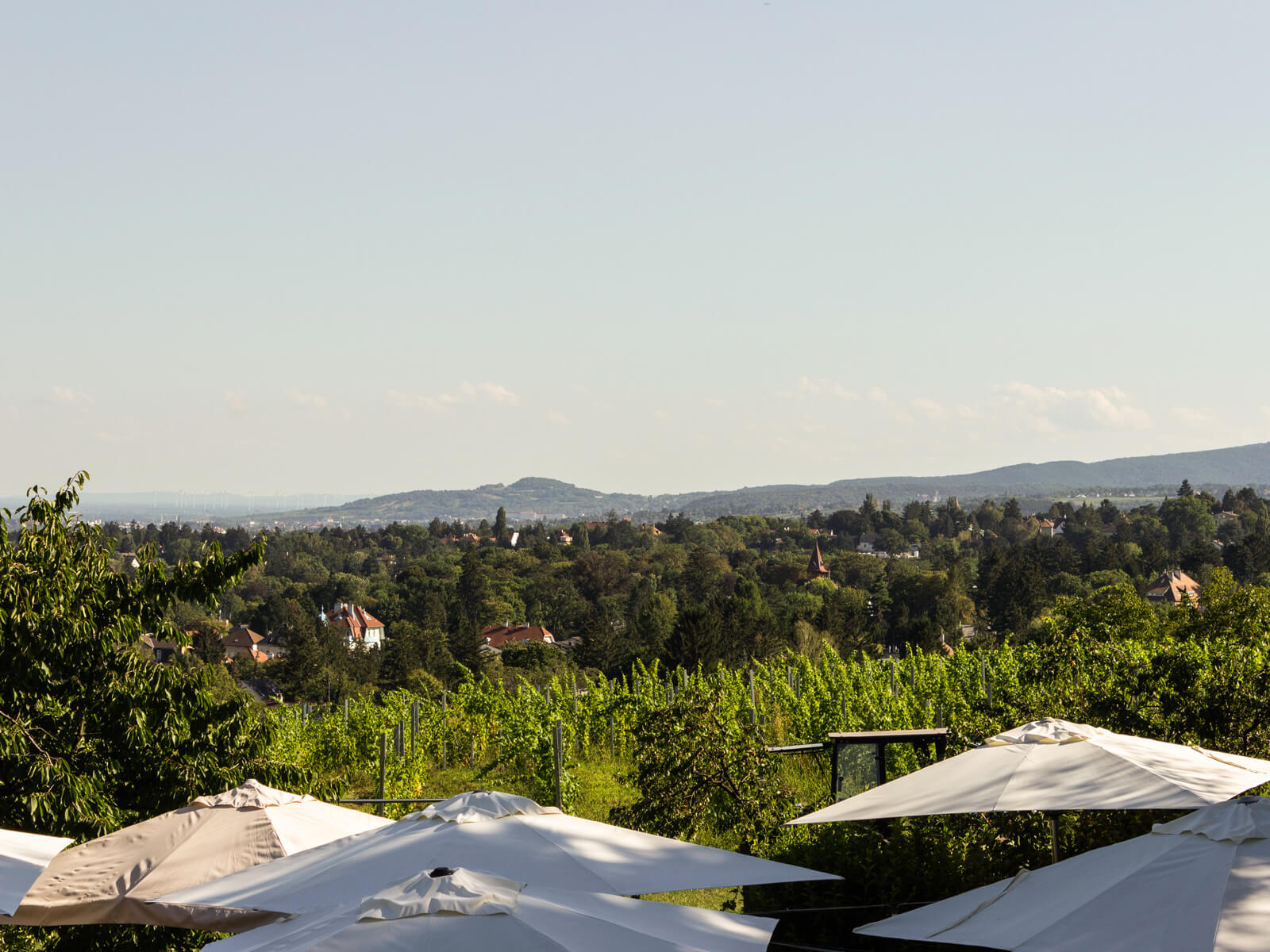 Umgebung Heuriger und Weinbau Wiltschko Wien – weinbau-wiltschko.at