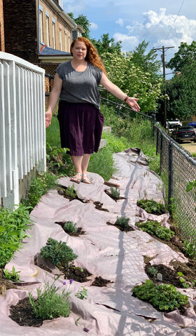 Gardener Amy shares her lavender garden