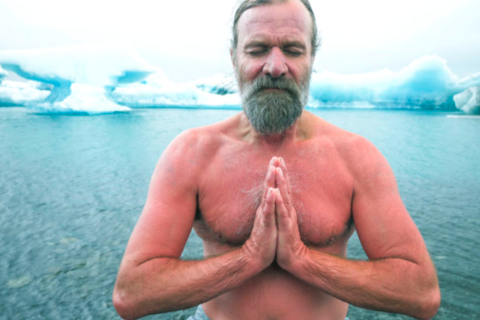 wim hof