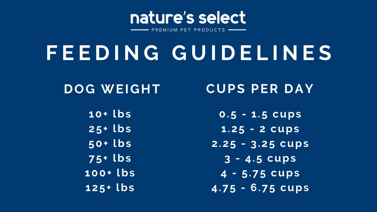 NS Feeding Guidelines