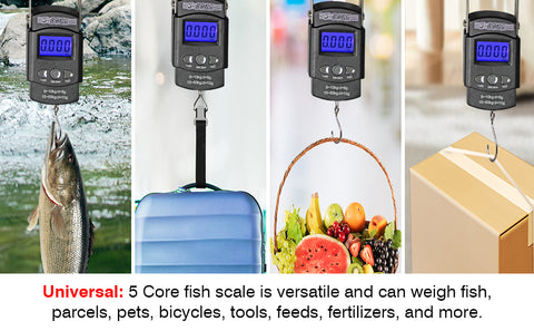 Waterproof Fishing Scale with Ruler, Luggage Scale, Weight Hanging Hook  Scale,110lb/50KG-Backlit LCD Display.Waterprof Bag and 2 AAA Batteries