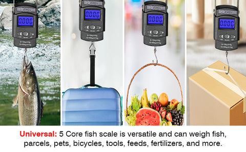 fishing scale