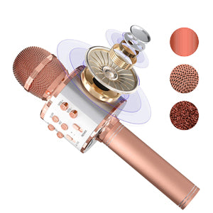 Mic for singing