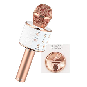 Karaoke Microphone