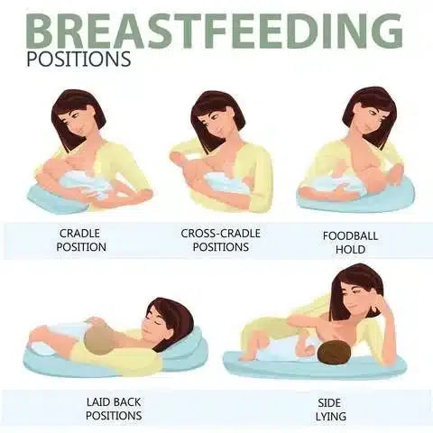 Breast_feeding_positions-R for Rabbit