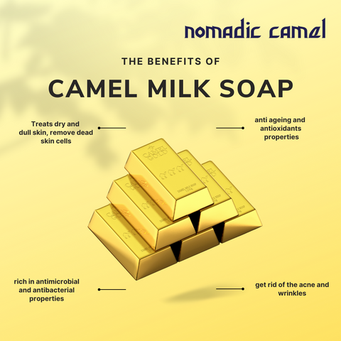 Camel milk soap benefits