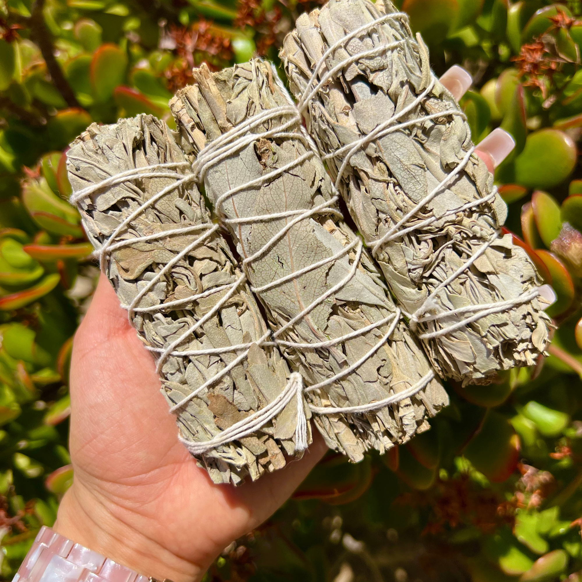 White Sage Smudging Wands
