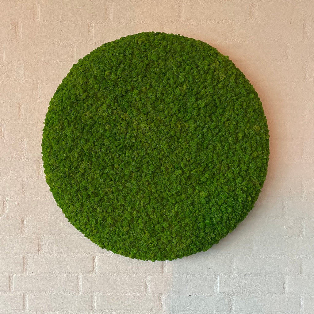 Billede af OEKOBOARD Premium - Lys grøn mos cirkel