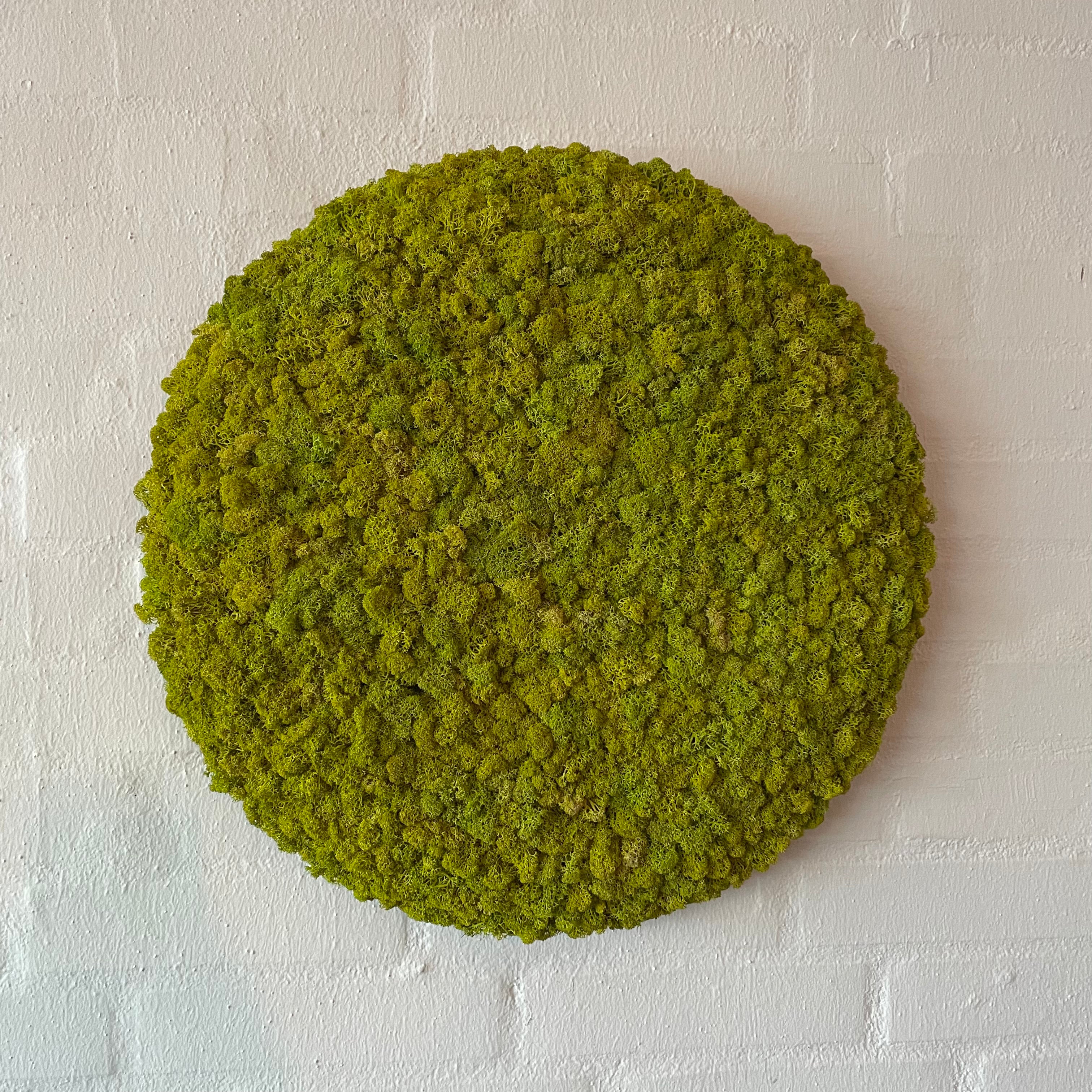 Billede af Limegrøn mos cirkel på brændt kork 47 cm. 2. sortering