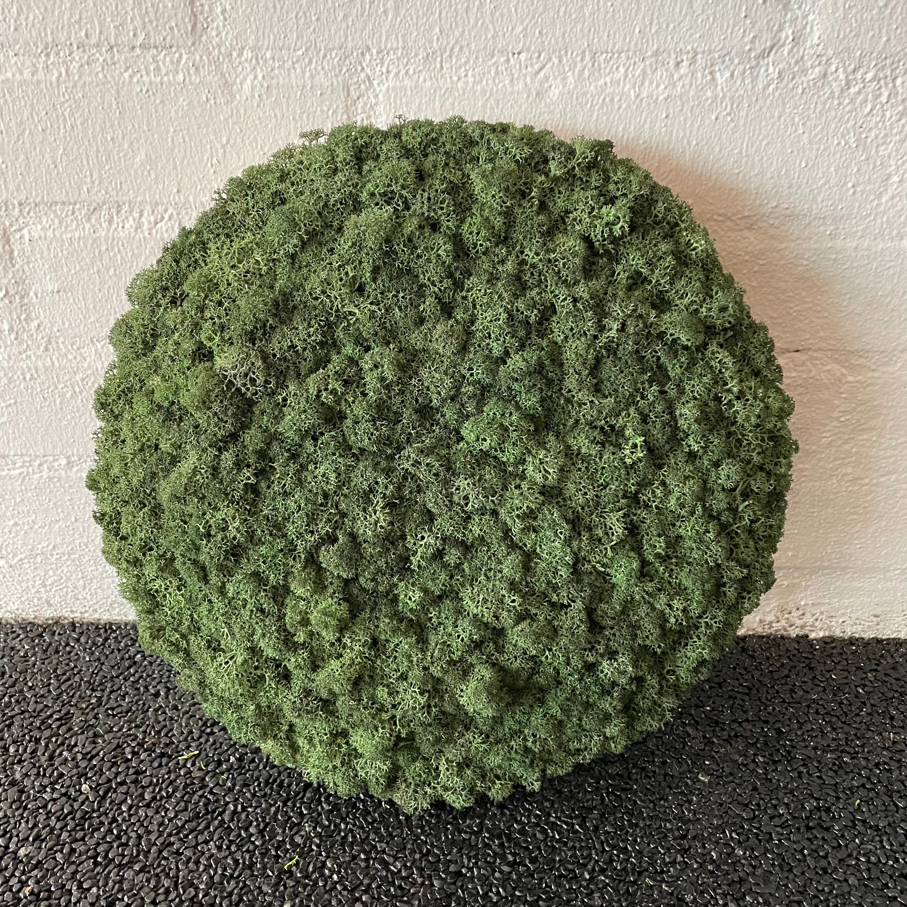 Billede af Mørkegrøn mos cirkel 30 cm. 2. sortering