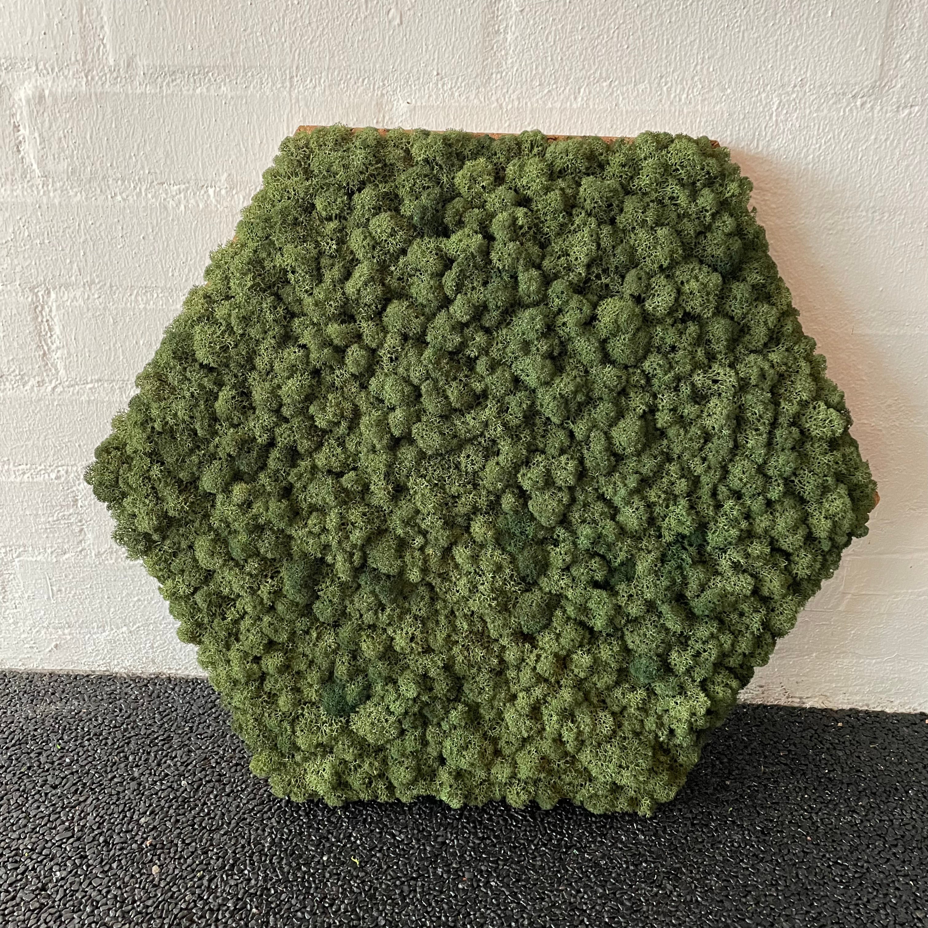 Billede af Sekskant med mørkegrøn mos 48 cm, 2. sortering