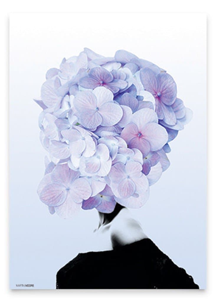 15: Hortensia #1 A3