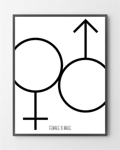 Se Plakat design - Female & male - 30x40 cm. hos Liseborg