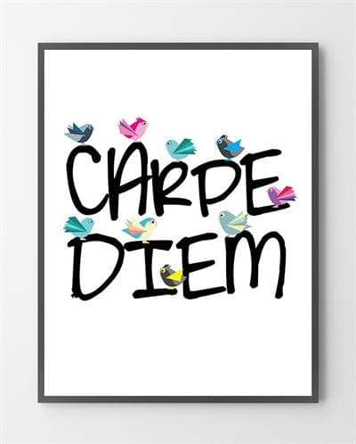 Billede af Plakater - Carpe Diem - 30x40 cm.