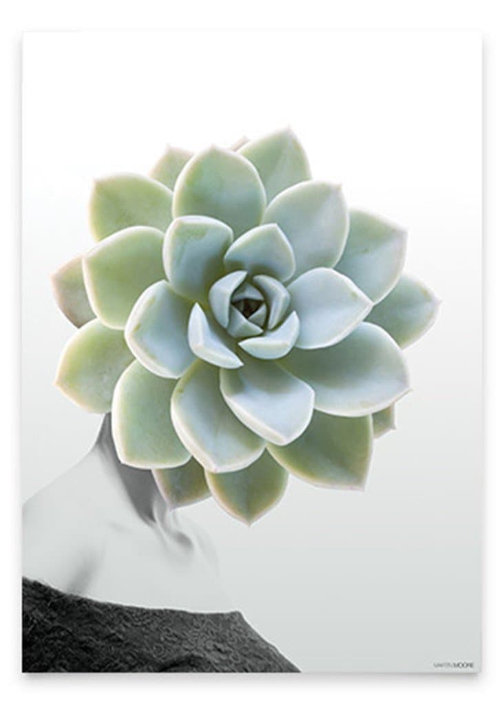 Billede af Succulent #1 A3