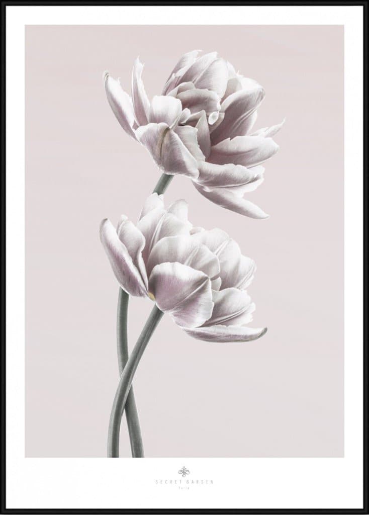 Billede af Secret Garden Tulipan 30x40
