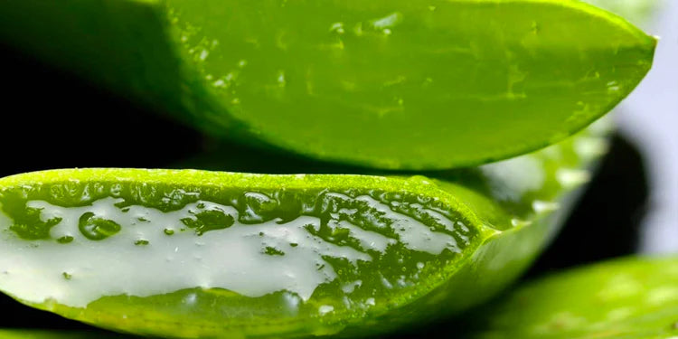 aloe-vera-juice