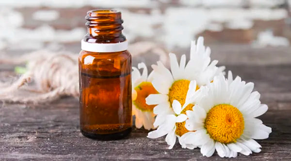 chamomile oil