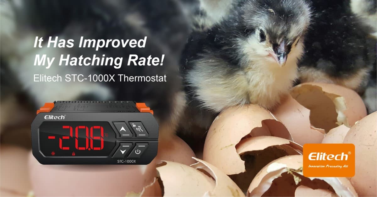 Elitech STC-1000X thermostat for hatching-Elitech UK