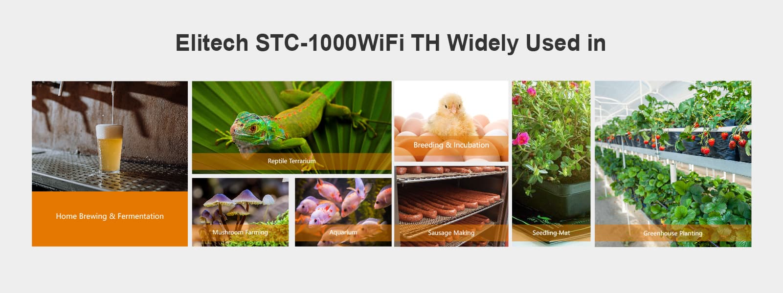 STC-1000WiFi TH Temperature and Humidity Controller Application - Elitech UK