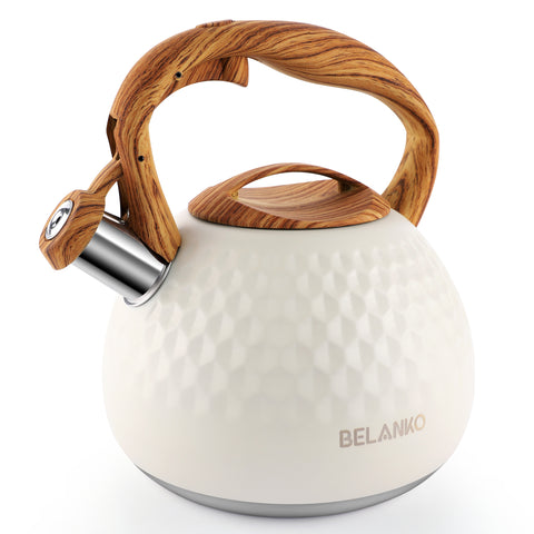 BELANKO™ 14 OZ Insulated Coffee Tumbler with Straw - Seafoam Green
