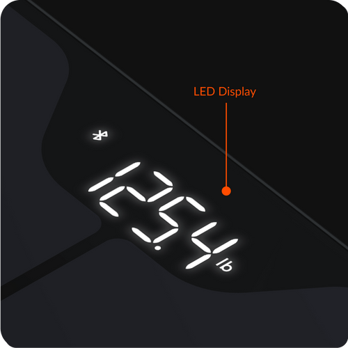 iHealth Nexus Pro Wireless Body Composition Scale – iHealth Labs Inc