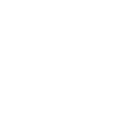 Timer Icon