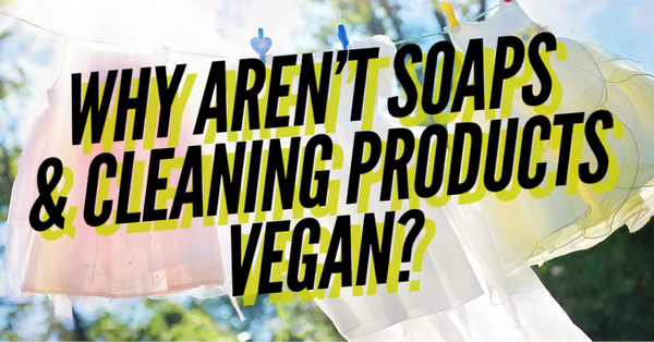 Why Aren't Soaps & Cleaning Products Vegan?