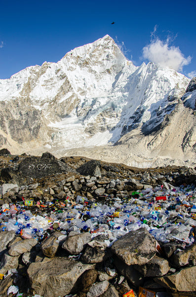 plastic waste in nature