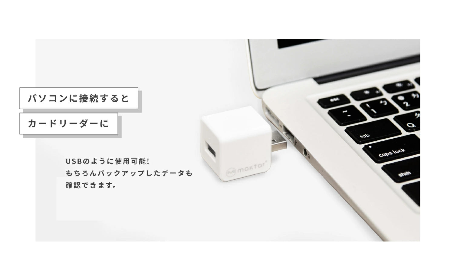 Qubii Duo - パープル/USB-A – Maktar Japan