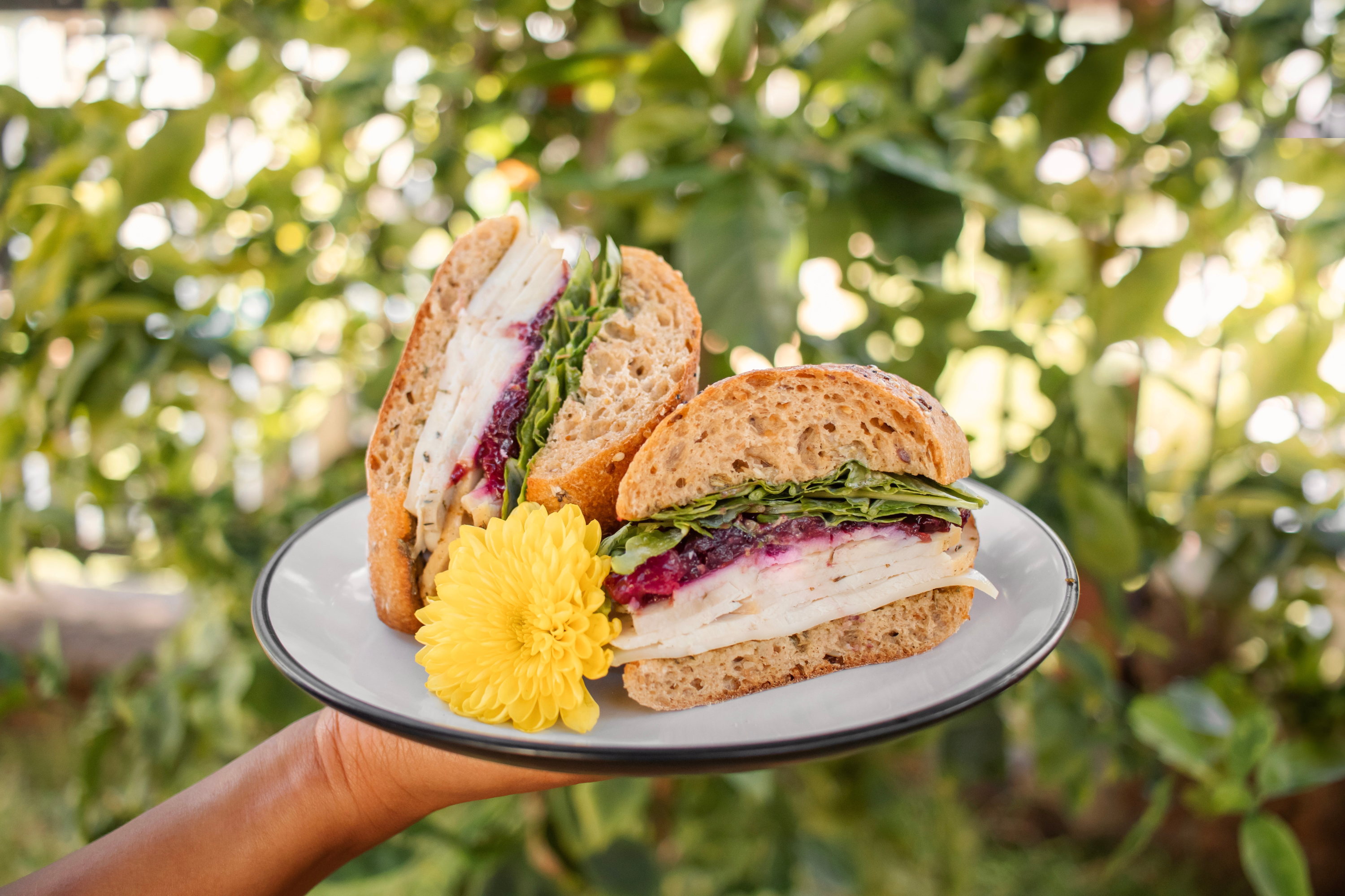 Fall seasonal item - Harvest Turkey Sandwich