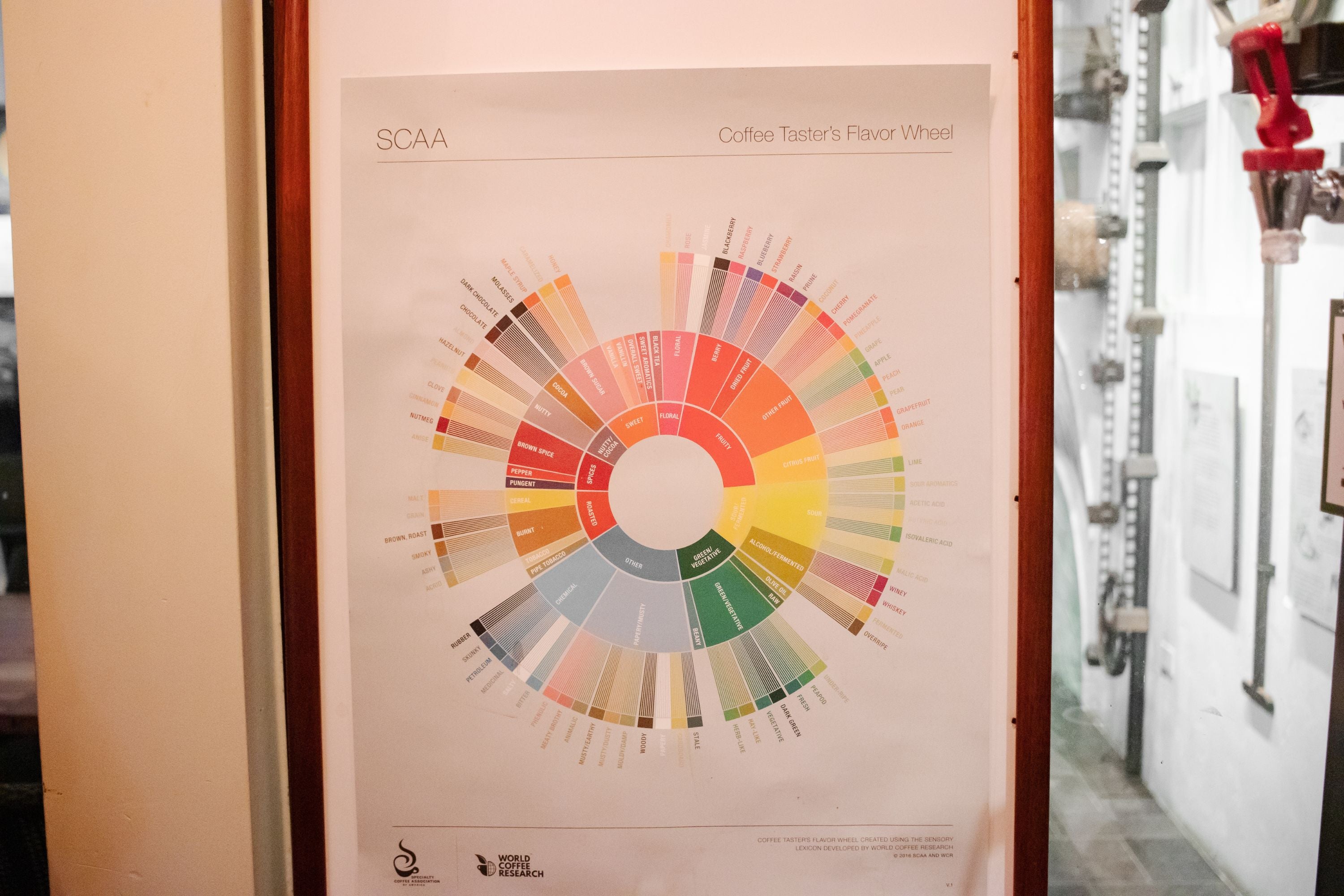 Coffee Taster's Flavor Wheel created by the Specialty Coffee Association of America
