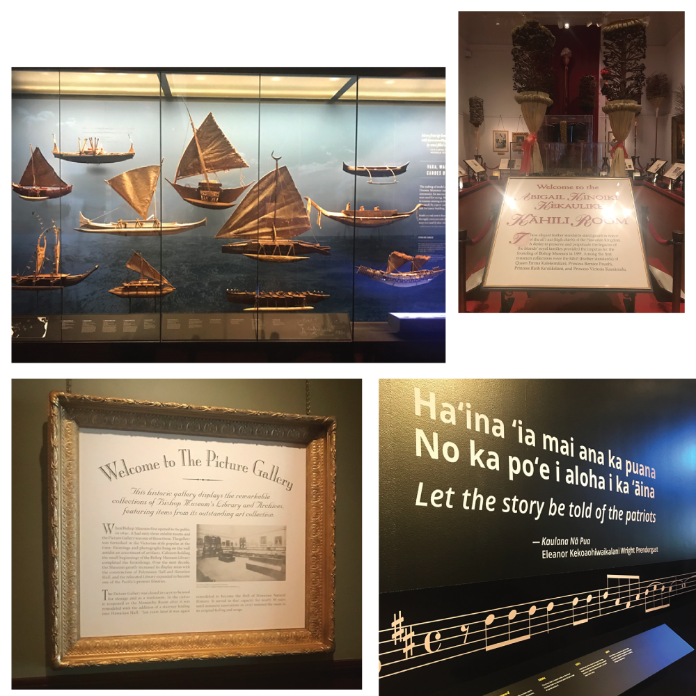 Pacific Hall, Kahili Room, the Music Exhibition, and Picture Gallery at the Bishop Museum