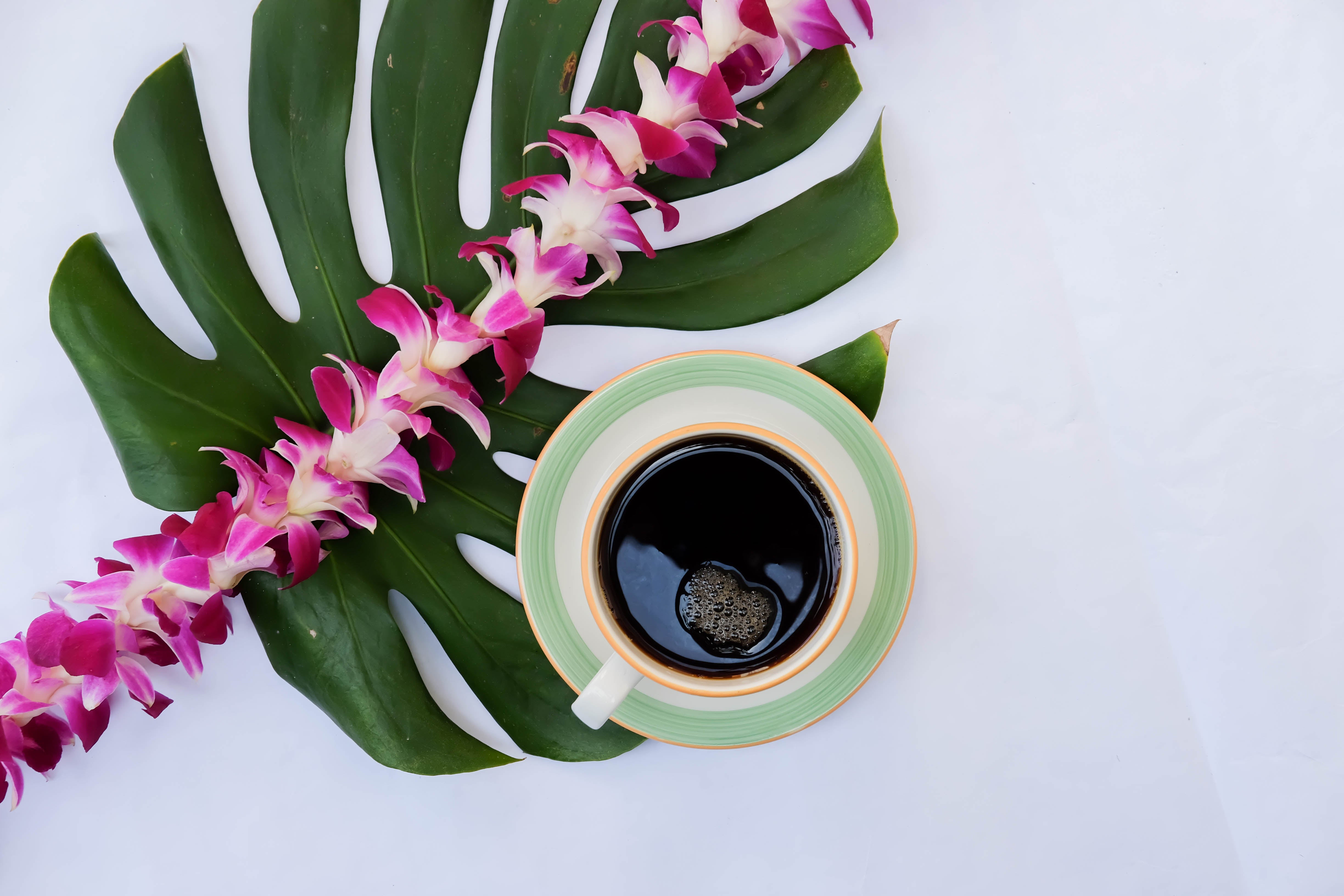 A cup of Kona coffee with an orchid lei and monstera leaf