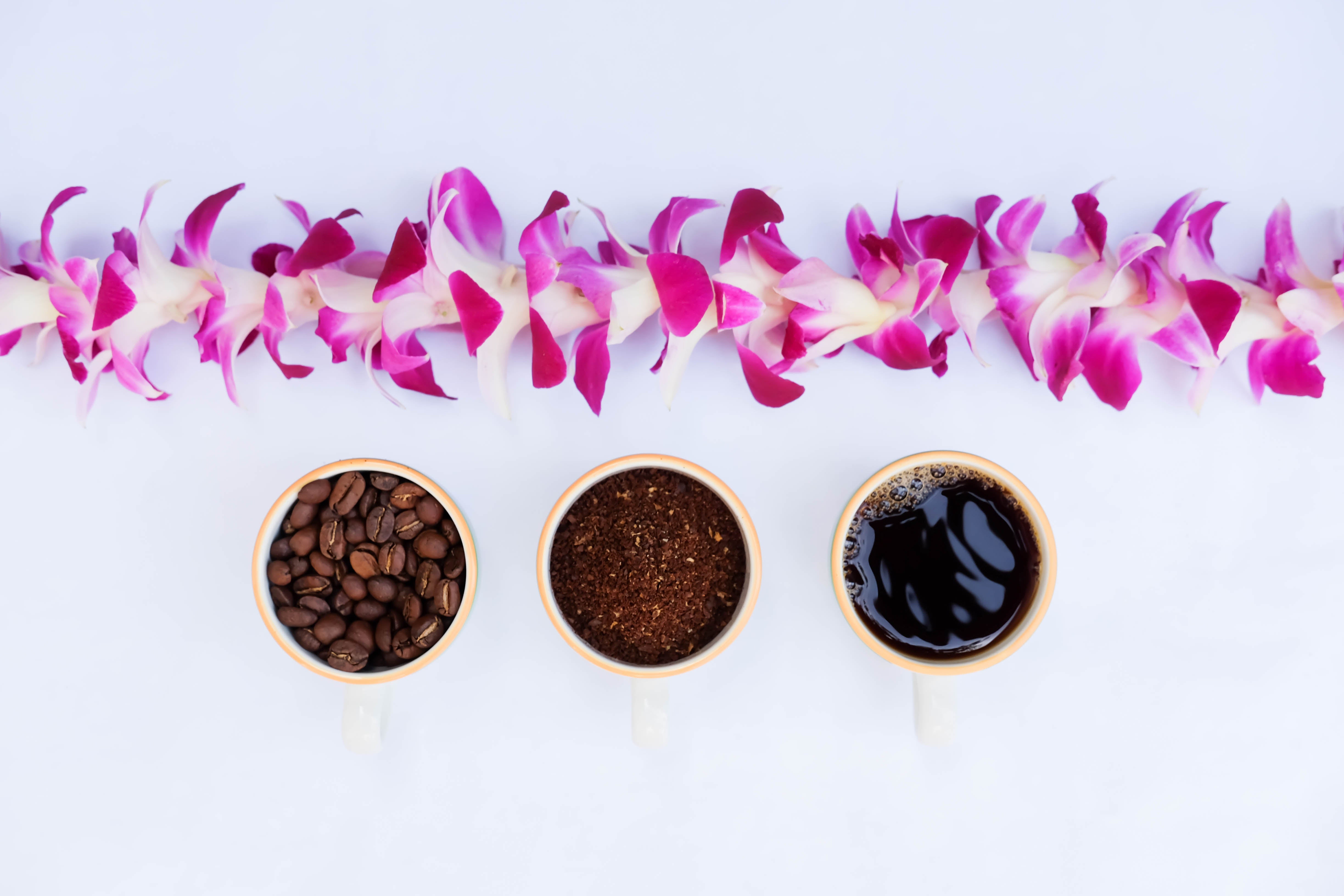 An orchid lei next to whole, ground, and brewed Kona coffee beans