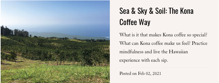 Sea and Sky and Soil: The Kona Coffee Way