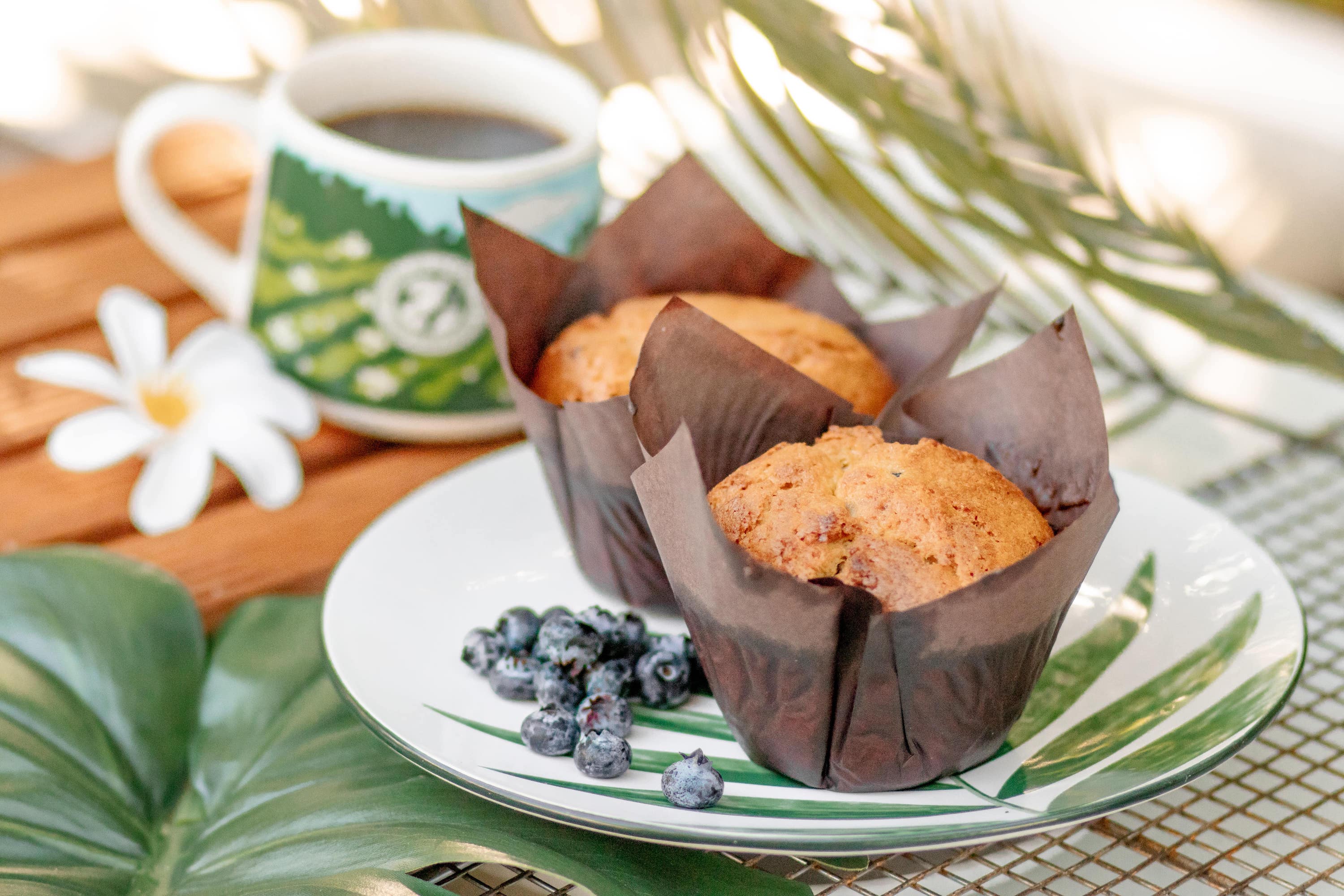 Blueberry Corn Muffins on a plate with blueberries and a cup of Kona coffee with tropical foliage/flowers