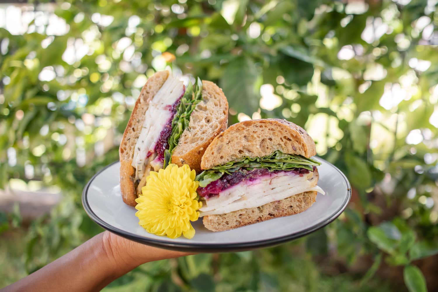 Honolulu Coffee seasonal menu item: Harvest Turkey Sandwich