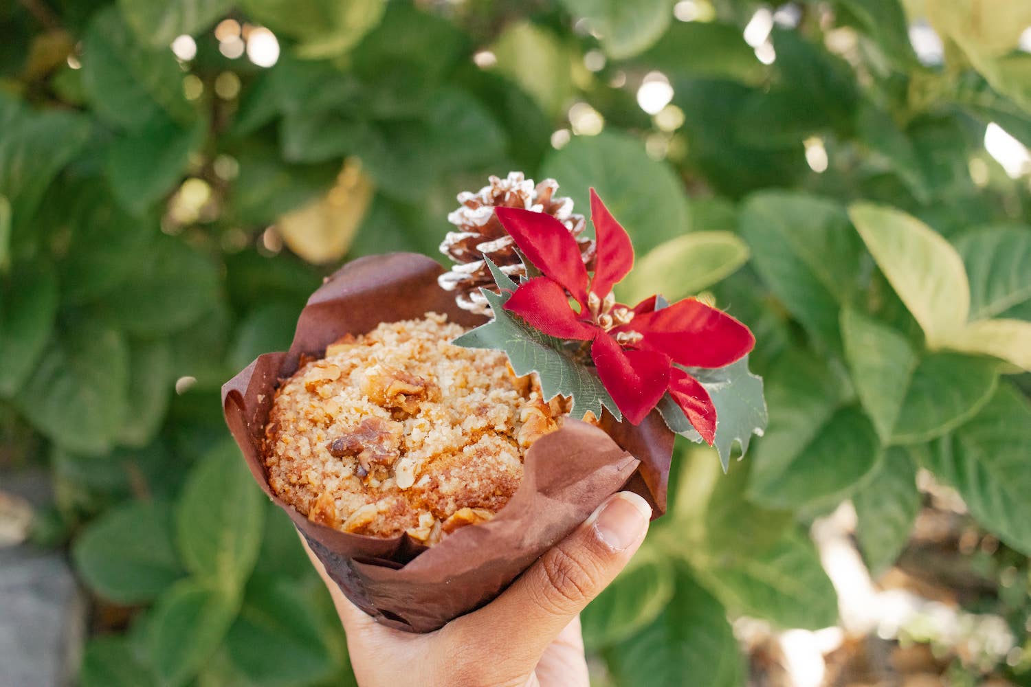 Honolulu Coffee seasonal menu item: White Chocolate Cranberry Muffin