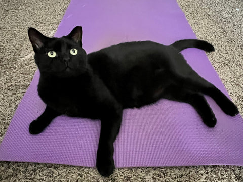 Black cat and yoga mat
