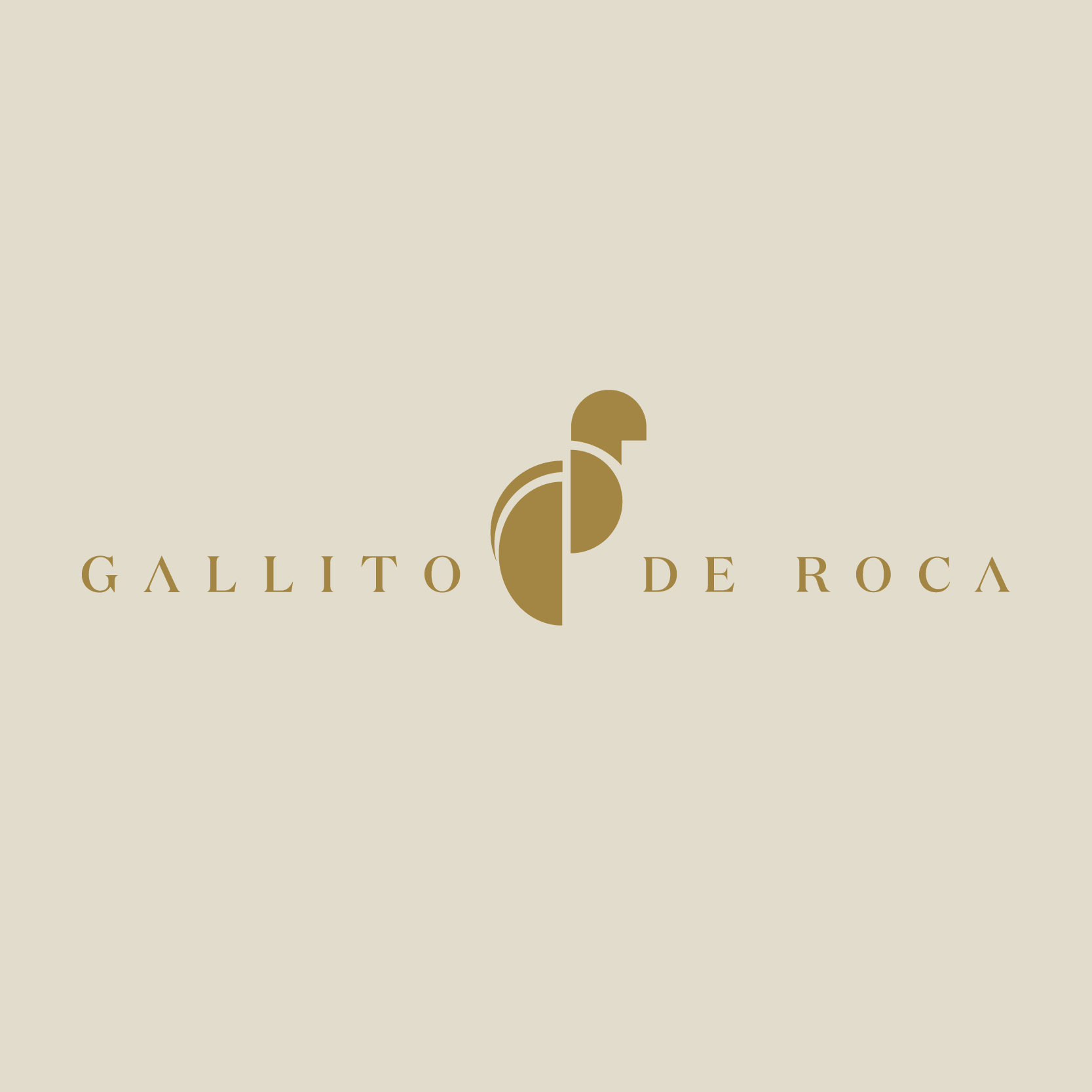 Gallito de Roca