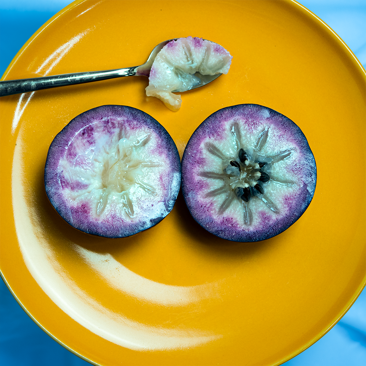 Jumbo Purple Star Apple (Milk Fruit)