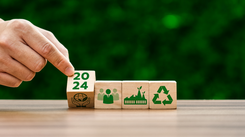 Eco-Friendly Resolutions 2024 | Eco Cheeks