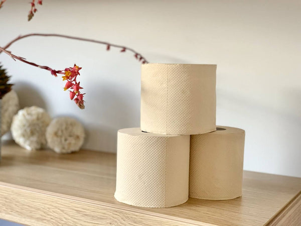 Life Changing Unbleached Bamboo Toilet Paper: Eco Cheeks Reviews