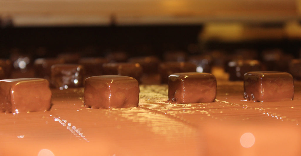 Booja-Booja vegan chocolate truffles on the enrobing machine