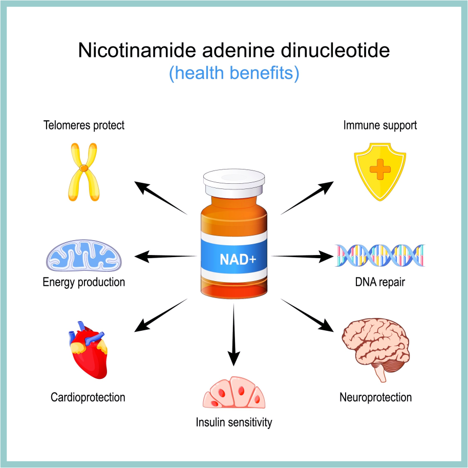 benefits of nad+ nr and nmn supplements