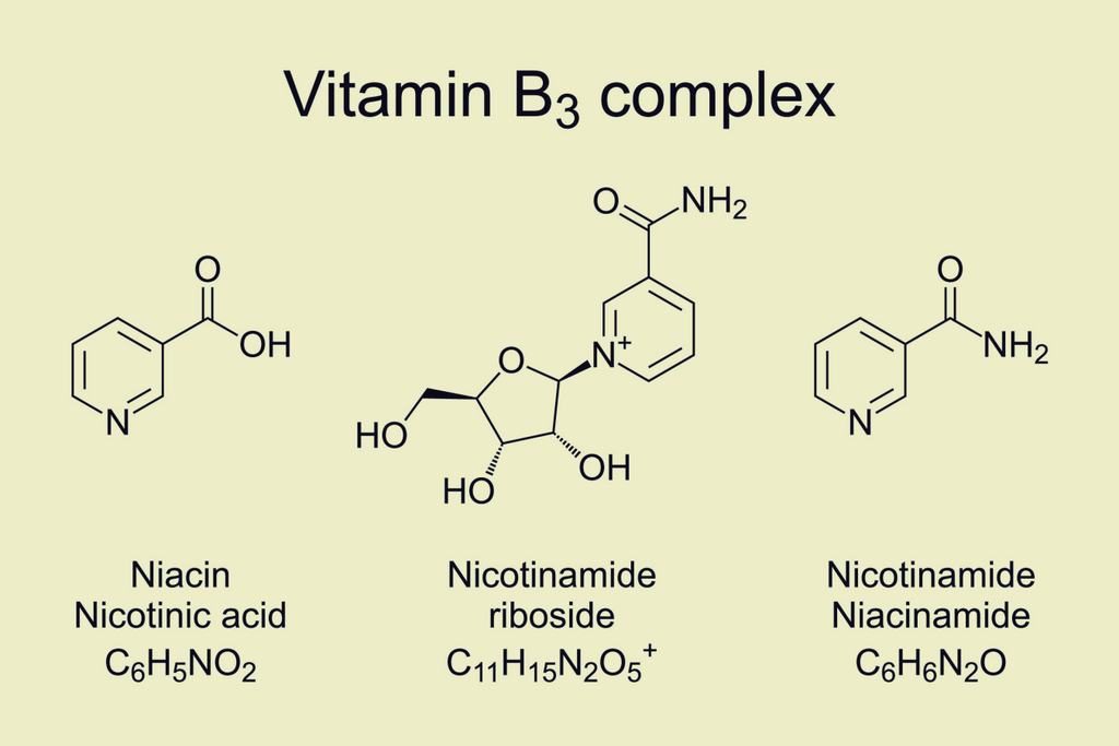 nicotinamide riboside nr nad booster