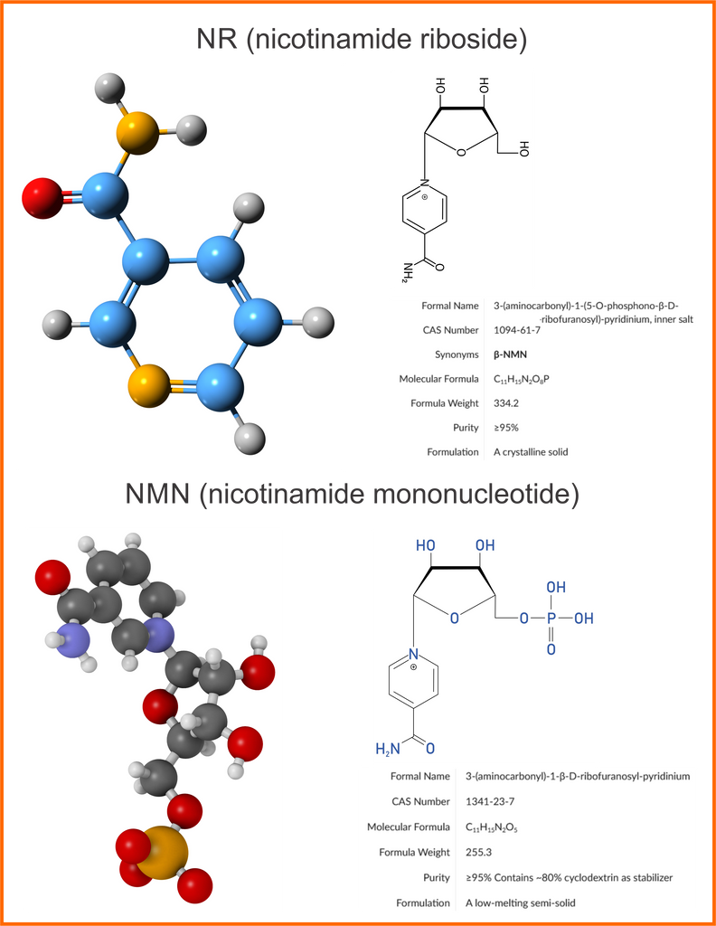 nr and nmn chemical compounds
