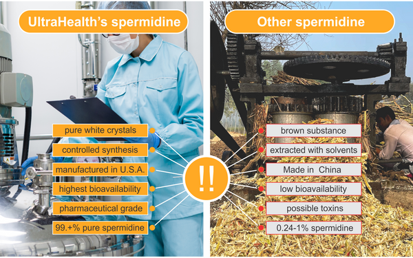 extracted vs synthesis of supplement spermidine